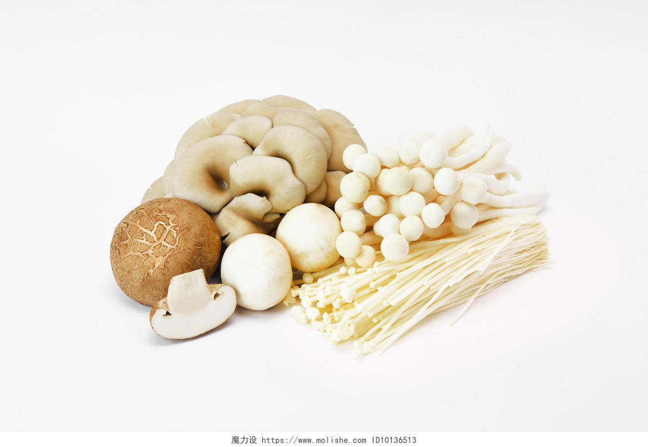 香菇灰底菌类组合平菇白玉菇菌类菌菇蘑菇